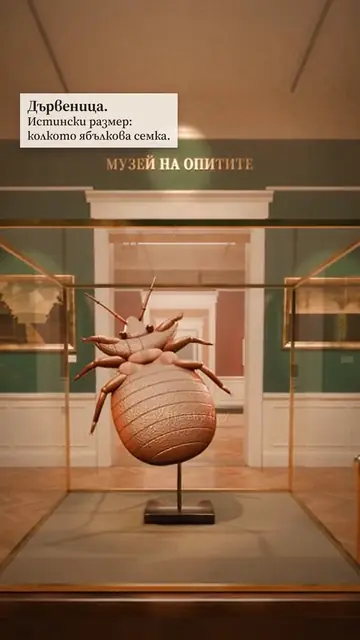 Biogard ads: Museum